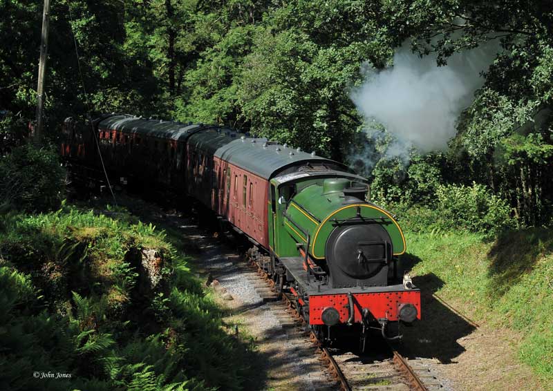 a steam engine train traveling through a lush green forest