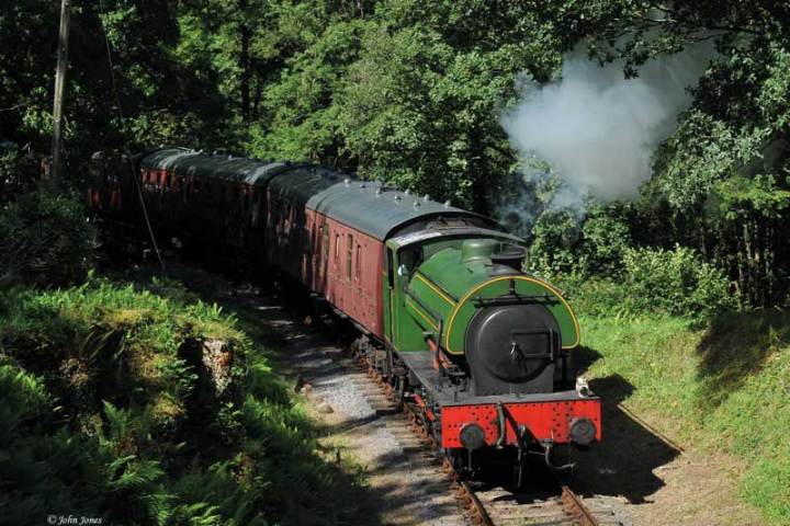 a steam engine train traveling through a lush green forest