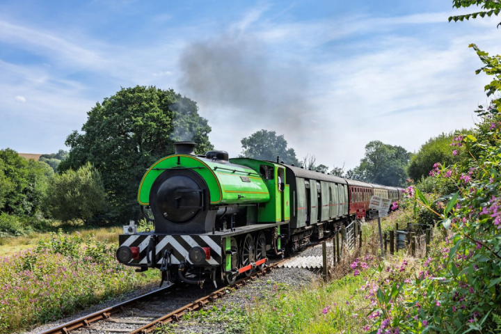 Green steam train with vintage carriages on tracks in scenic countryside with trees and flowers.