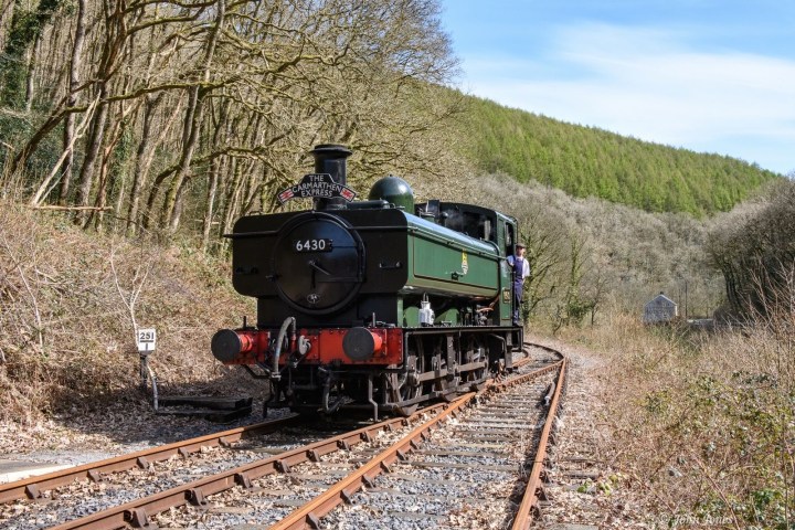 a train traveling down train tracks near a forest