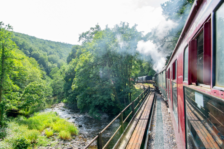 a train traveling down train tracks near a forest