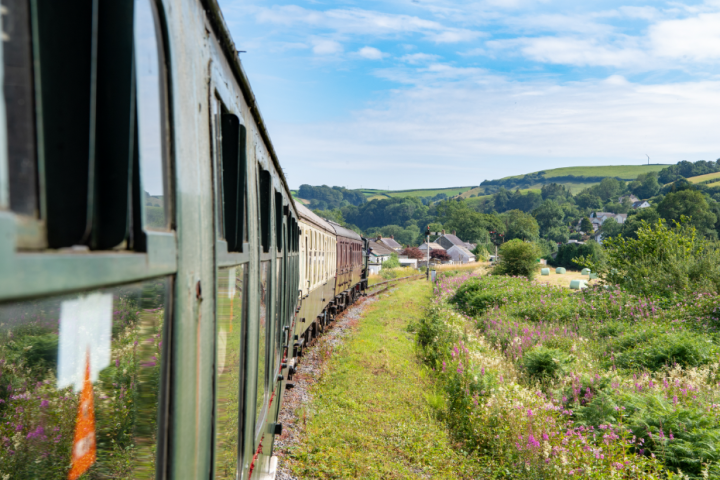 a train traveling through a lush green field